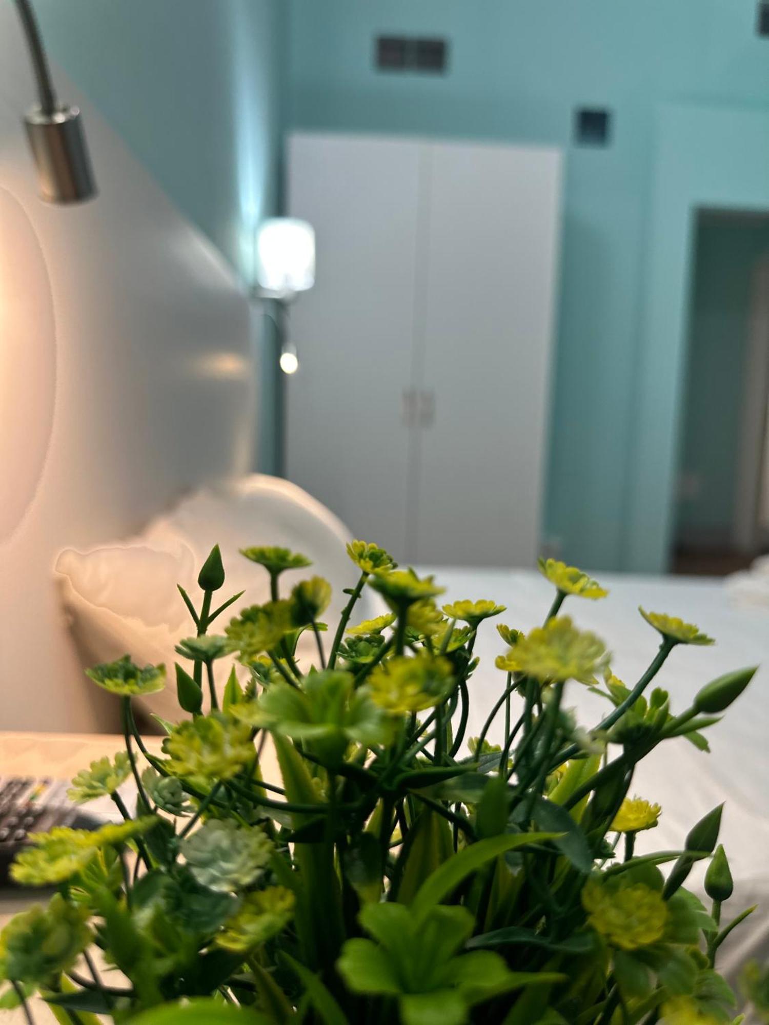פיזה B&B - Residenza D'Epoca Piazza Cairoli מראה חיצוני תמונה